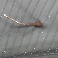 画像279